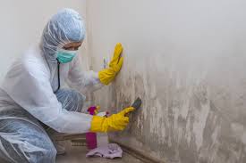 Why You Should Choose Our Mold Remediation Services in Roanoke, TX